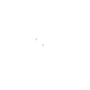 Core and Co
